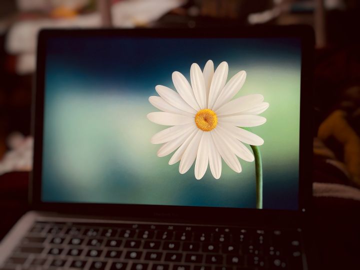 Köszöntünk új honlapunkon