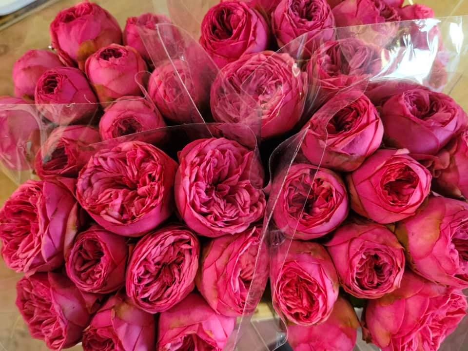 Anyák napi kínálatunk