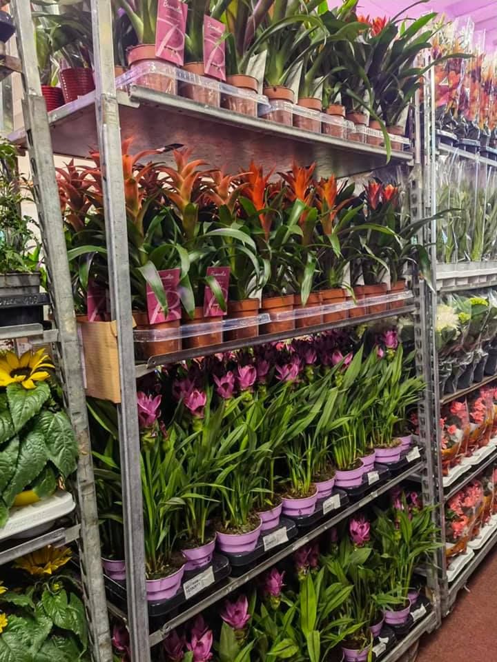 Anyák napi kínálatunk