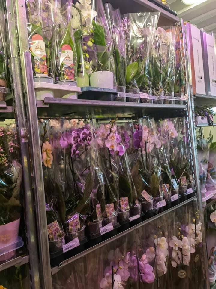 Anyák napi kínálatunk