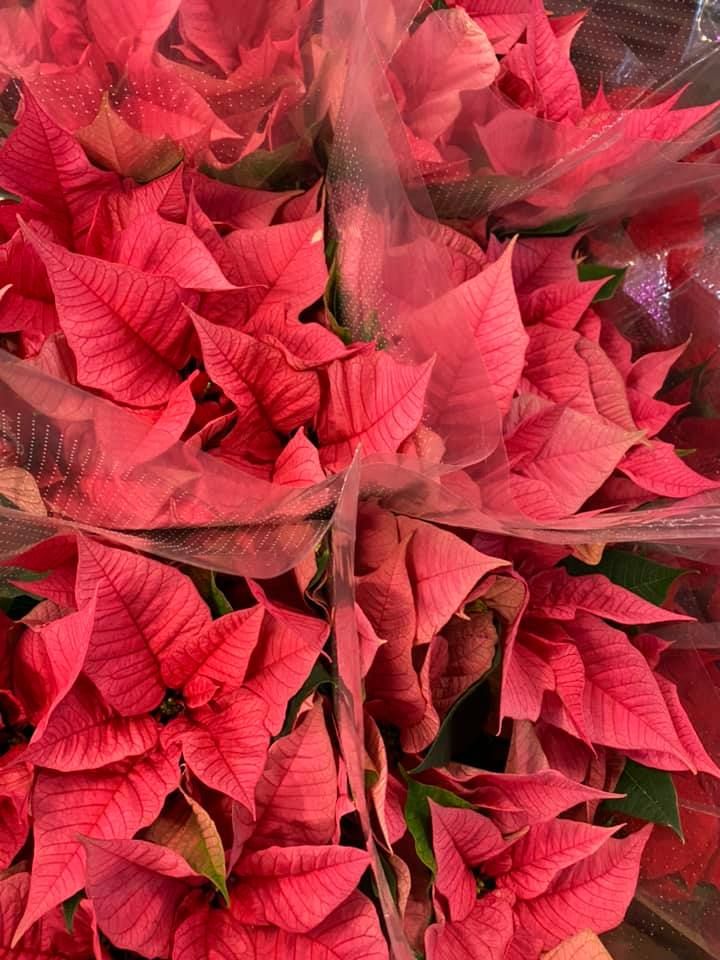 Karácsonyi kínálatunk