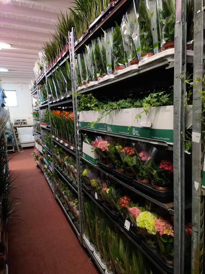 Anyák napi kínálatunk