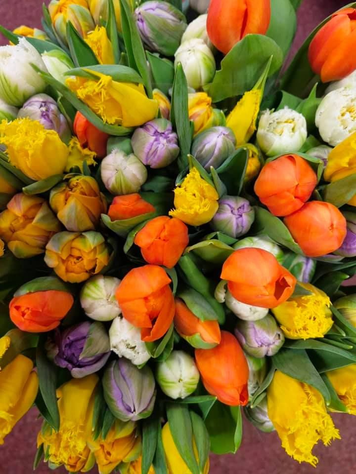 Anyák napi kínálatunk