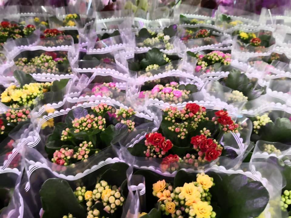 Karácsonyi kínálatunk