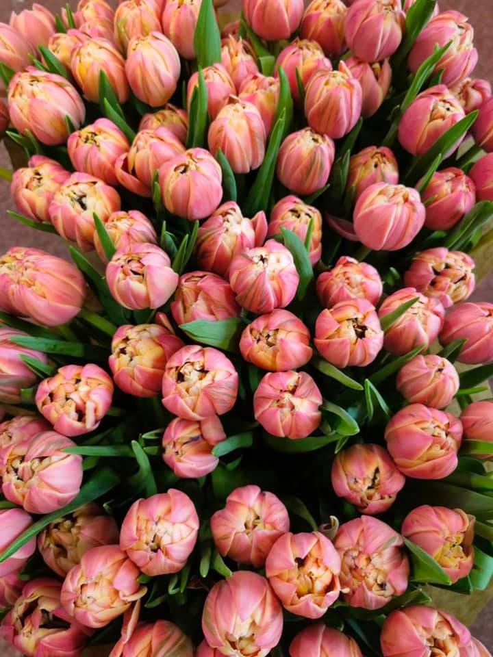 Anyák napi kínálatunk