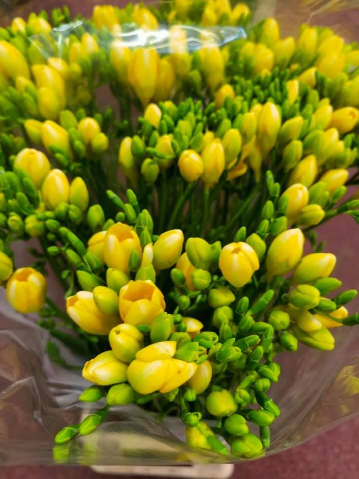 Anyák napi kínálatunk