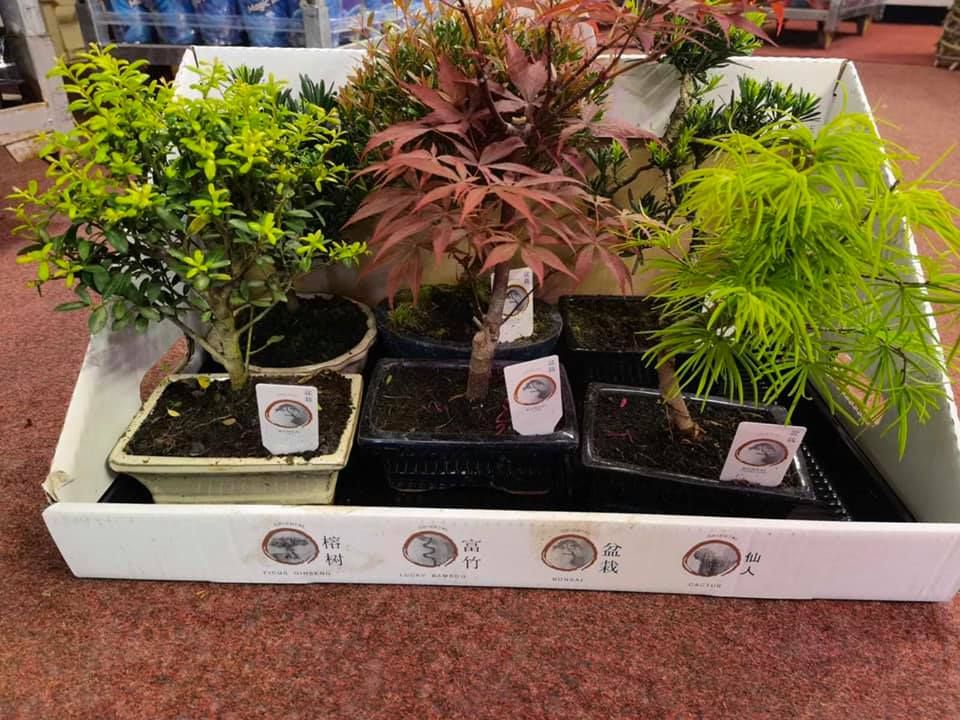 Anyák napi kínálatunk