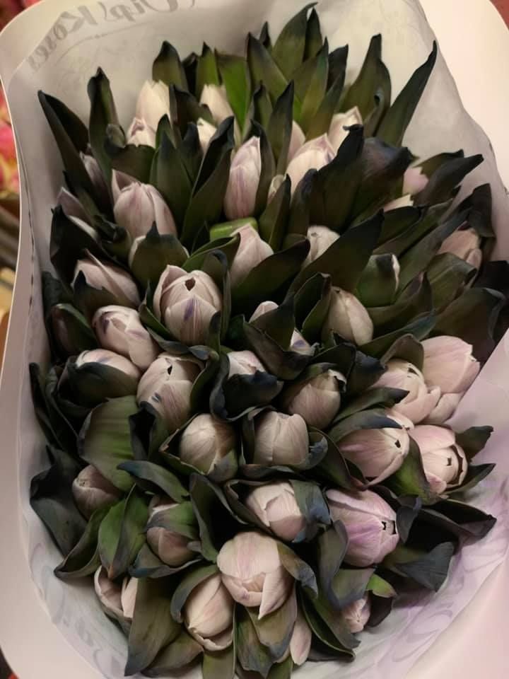 Anyák napi kínálatunk