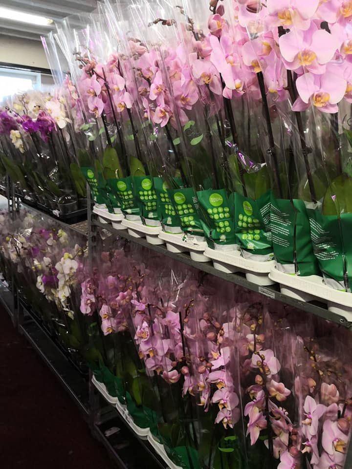 Karácsonyi kínálatunk