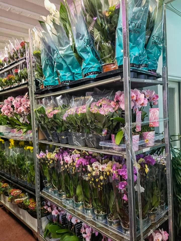 Anyák napi kínálatunk