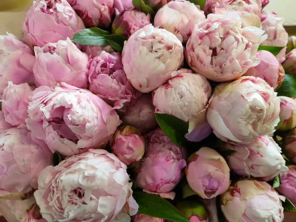 Anyák napi kínálatunk