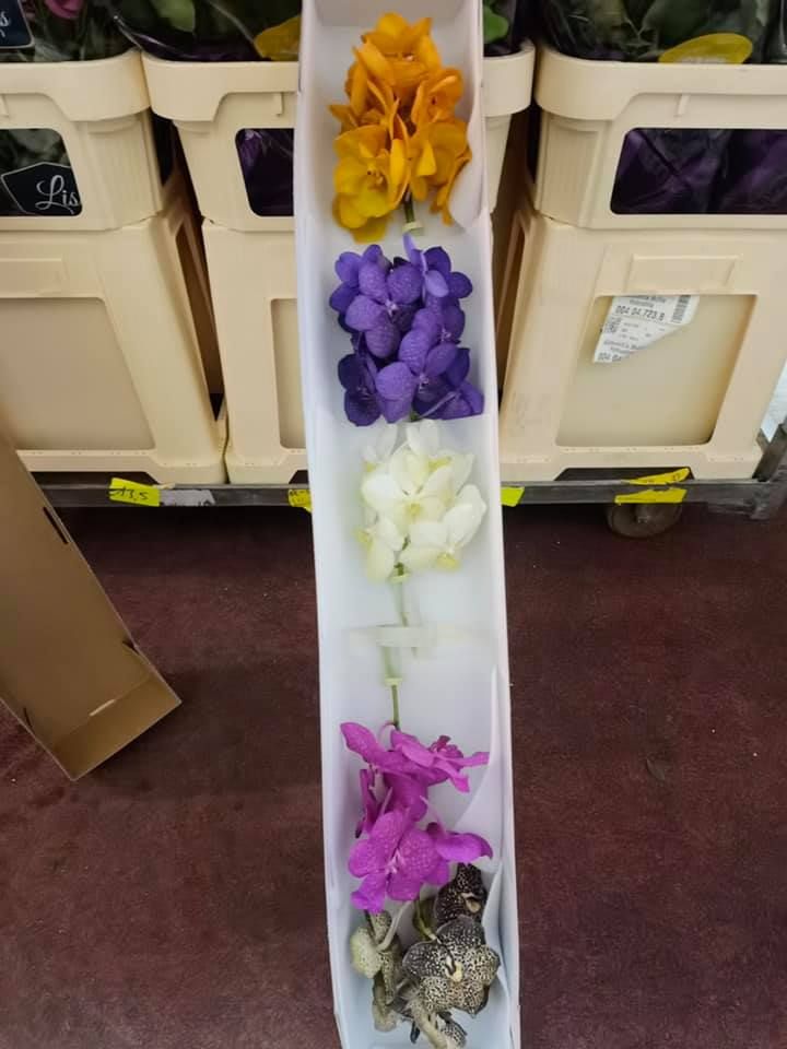 Anyák napi kínálatunk