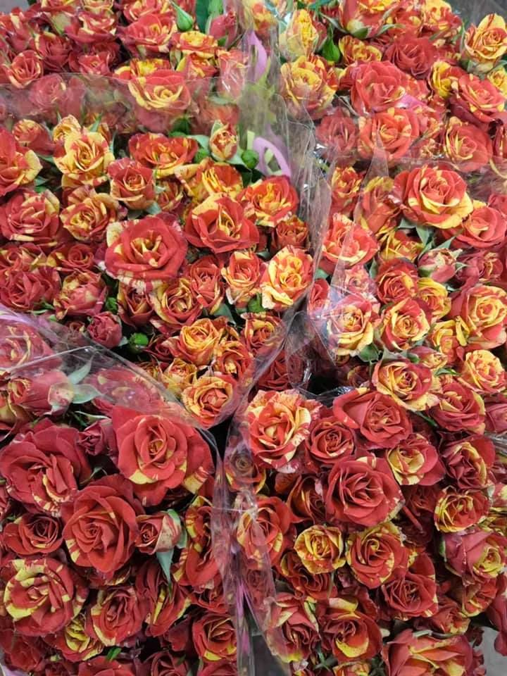 Anyák napi kínálatunk