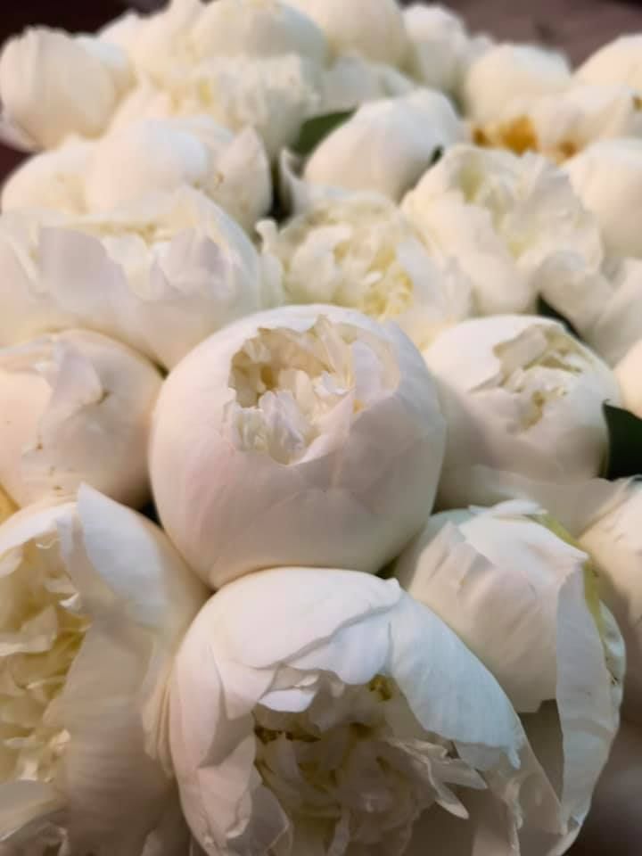 Anyák napi kínálatunk