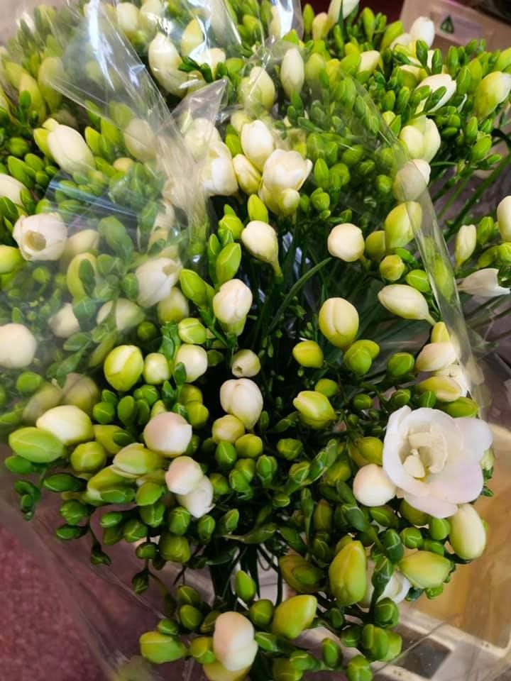 Anyák napi kínálatunk