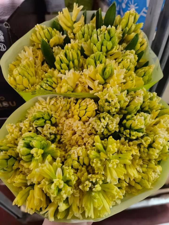 Anyák napi kínálatunk