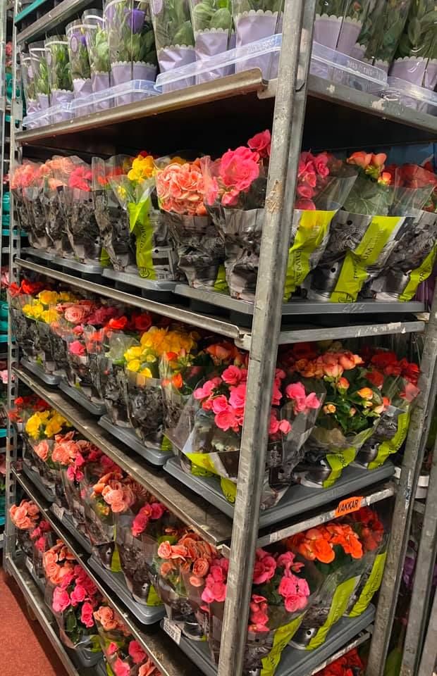 Karácsonyi kínálatunk