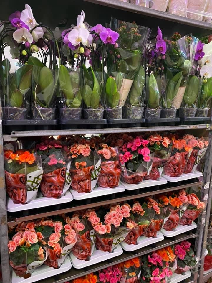 Karácsonyi kínálatunk