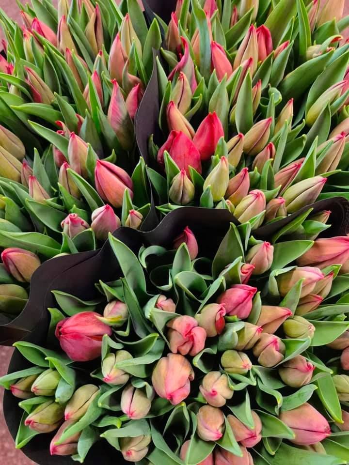 Anyák napi kínálatunk