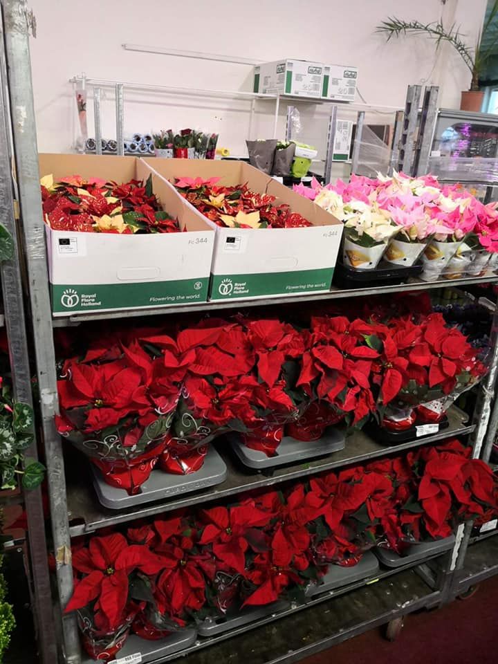 Karácsonyi kínálatunk