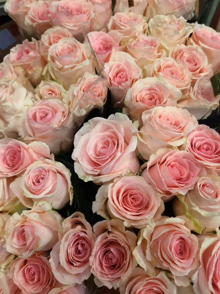 Anyák napi kínálatunk