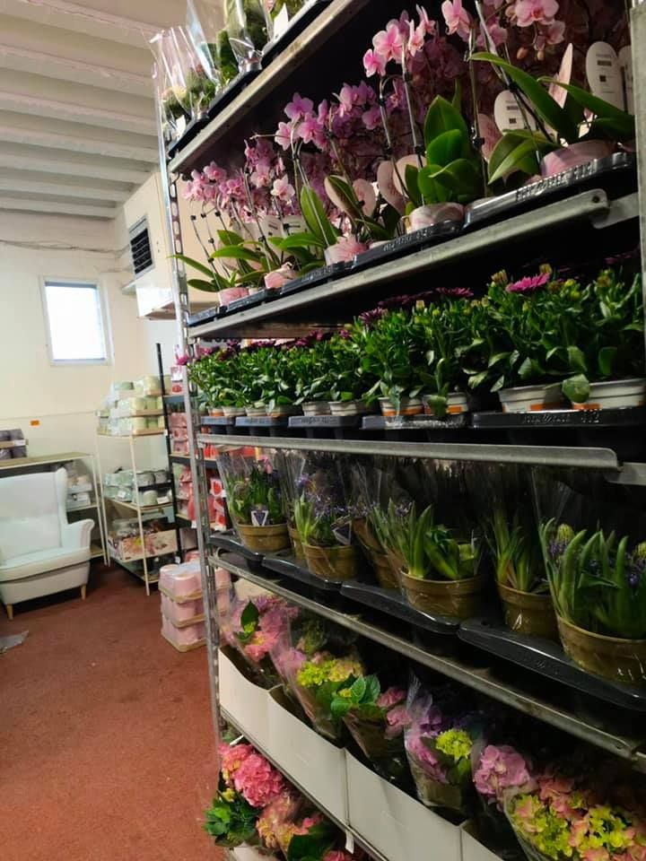 Anyák napi kínálatunk