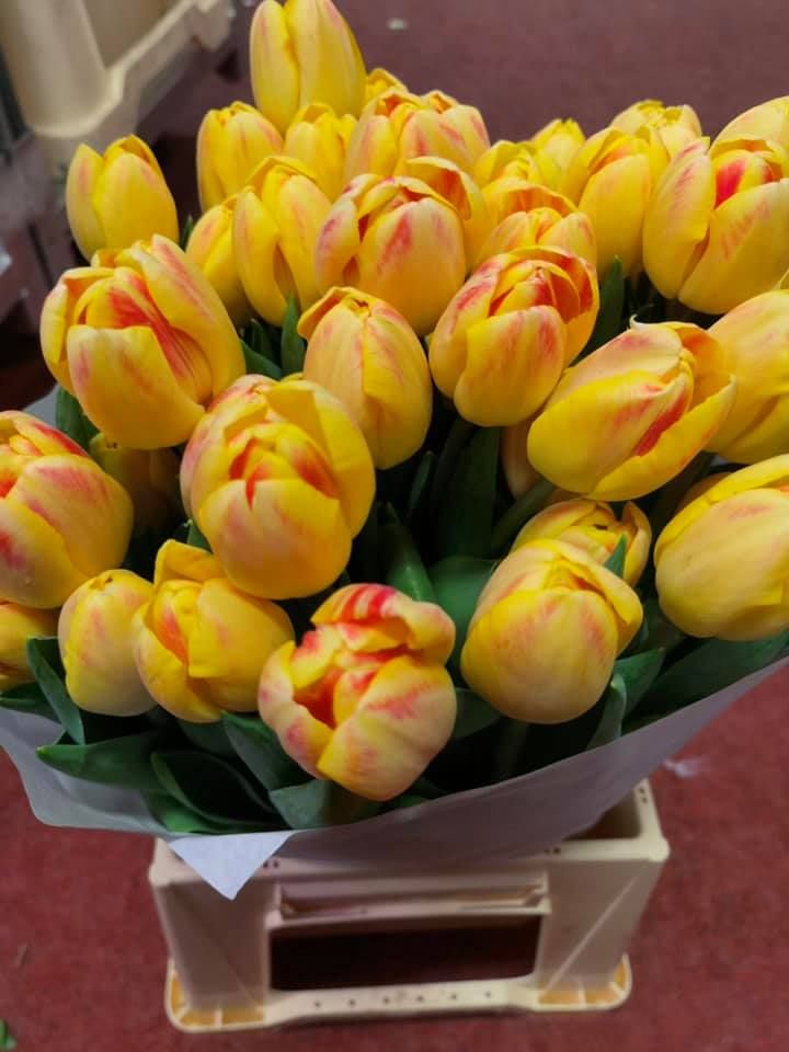 Anyák napi kínálatunk