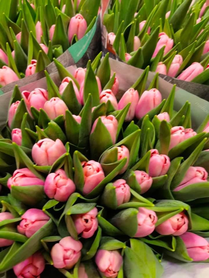 Anyák napi kínálatunk