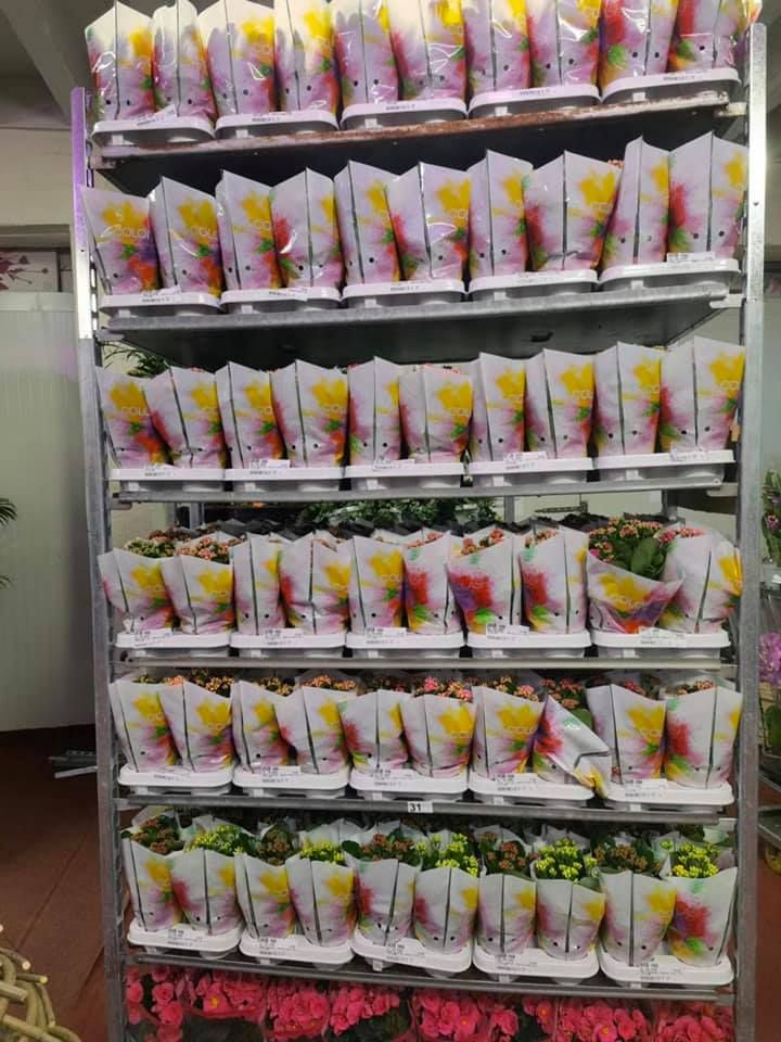 Anyák napi kínálatunk