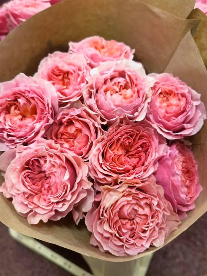 Anyák napi kínálatunk