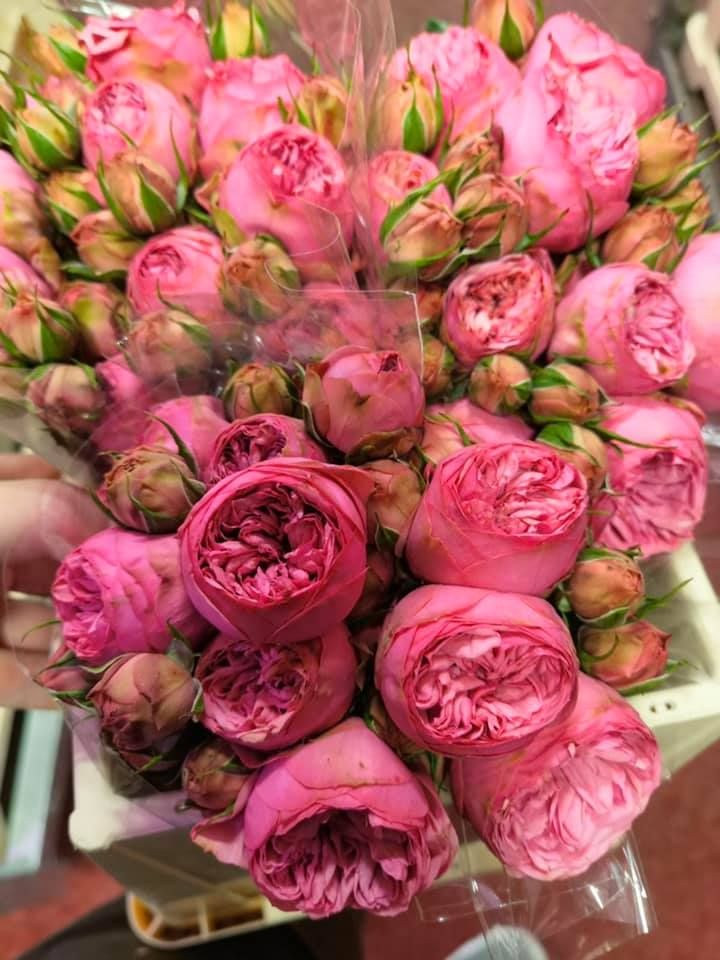 Anyák napi kínálatunk