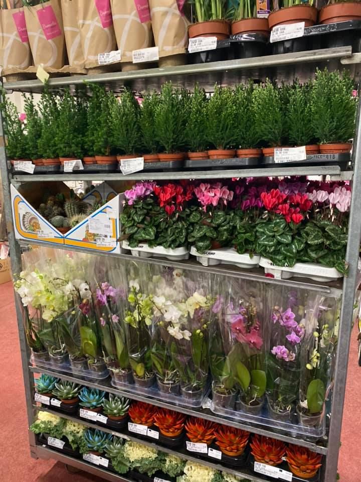 Karácsonyi kínálatunk