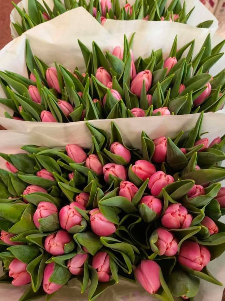 Anyák napi kínálatunk